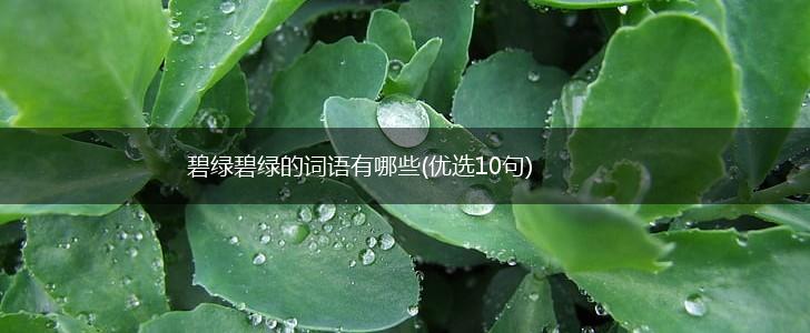碧绿碧绿的词语有哪些(优选10句),第1张