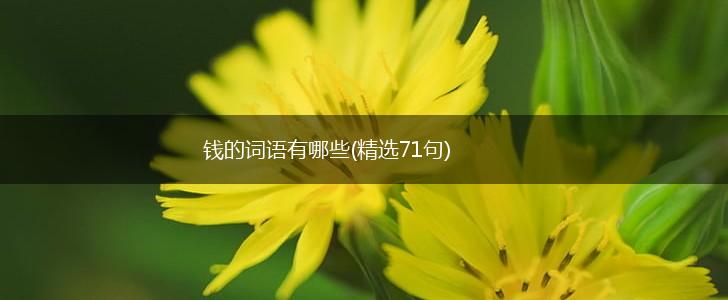 钱的词语有哪些(精选71句),第1张