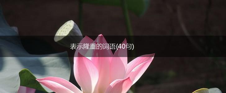 表示隆重的词语(40句),第1张