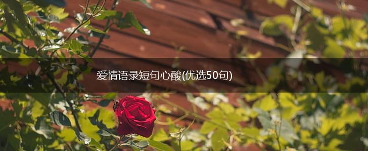 爱情语录短句心酸(优选50句),第1张