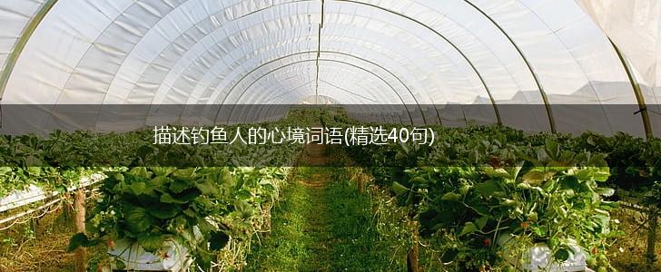 描述钓鱼人的心境词语(精选40句),第1张 描述钓鱼人的心境词语(精选40句),第1张