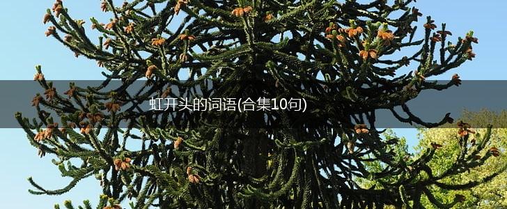 虹开头的词语(合集10句),第1张