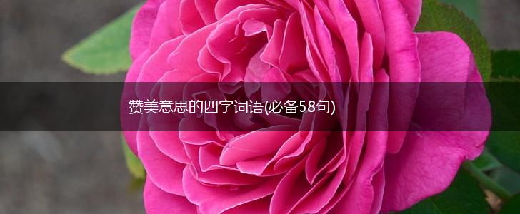 赞美意思的四字词语(必备58句),第1张