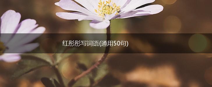 红彤彤写词语(通用50句),第1张 红彤彤写词语(通用50句),第1张