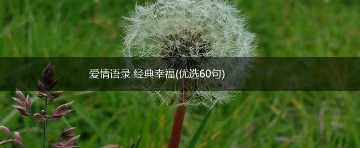 爱情语录 经典幸福(优选60句),第1张