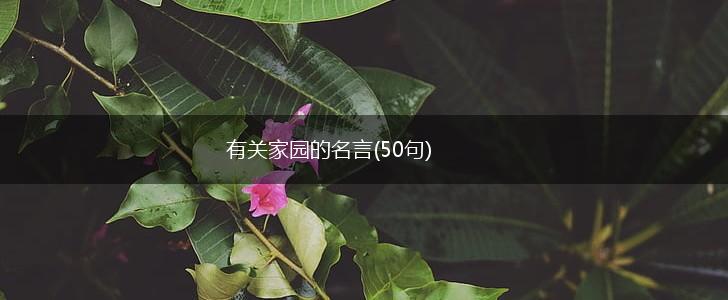 有关家园的名言(50句),第1张 有关家园的名言(50句),第1张