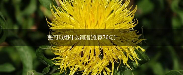 魅可以组什么词语(推荐76句),第1张