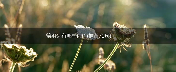 箭组词有哪些词语(推荐71句),第1张