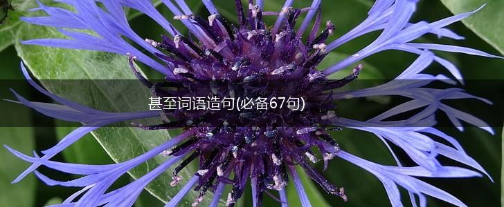 甚至词语造句(必备67句),第1张