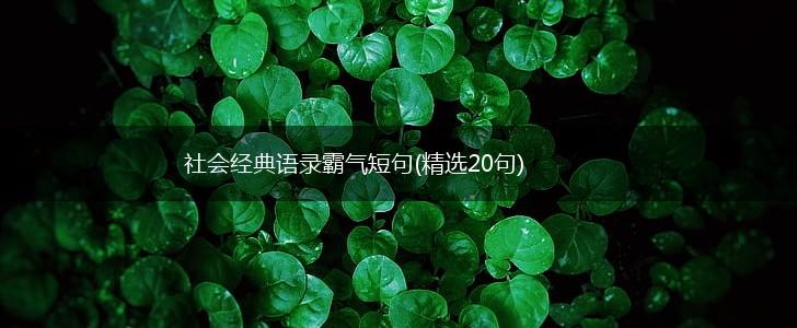 社会经典语录霸气短句(精选20句),第1张