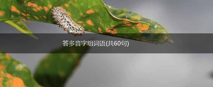 答多音字组词语(共60句),第1张 答多音字组词语(共60句),第1张