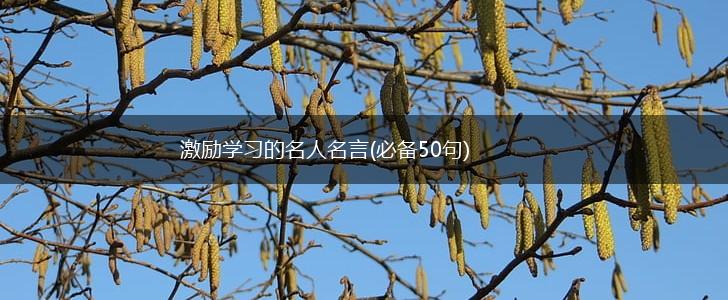 激励学习的名人名言(必备50句),第1张 激励学习的名人名言(必备50句),第1张