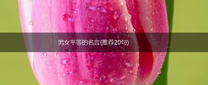 男女平等的名言(推荐20句),第1张