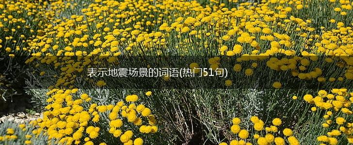 表示地震场景的词语(热门51句),第1张