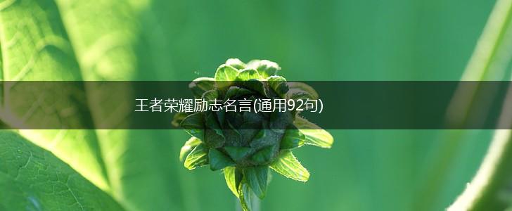 王者荣耀励志名言(通用92句),第1张