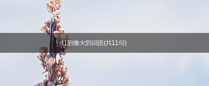 红的像火的词语(共11句),第1张