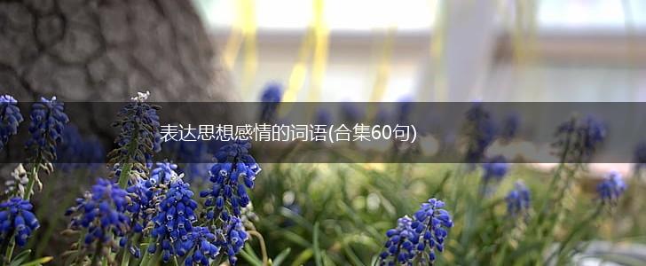 表达思想感情的词语(合集60句),第1张