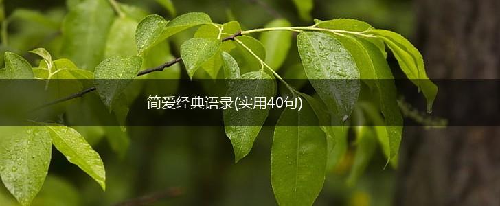 简爱经典语录(实用40句),第1张