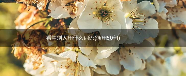 看望别人用什么词语(通用50句),第1张 看望别人用什么词语(通用50句),第1张