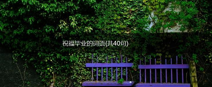 祝福毕业的词语(共40句),第1张 祝福毕业的词语(共40句),第1张
