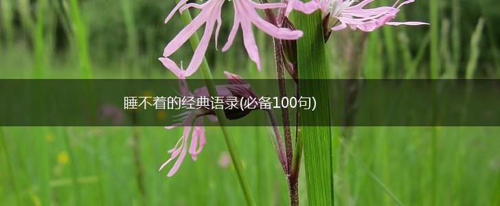 睡不着的经典语录(必备100句),第1张