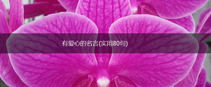 有爱心的名言(实用80句),第1张