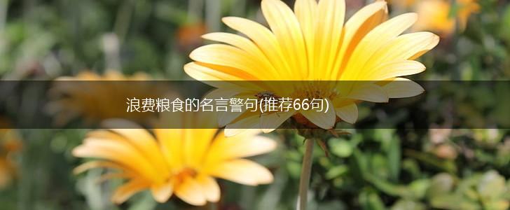 浪费粮食的名言警句(推荐66句),第1张