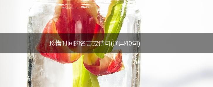 珍惜时间的名言或诗句(通用40句),第1张