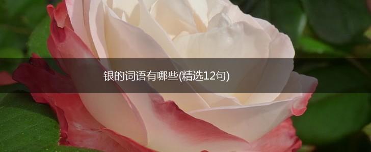 银的词语有哪些(精选12句),第1张