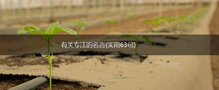 有关专注的名言(实用63句),第1张