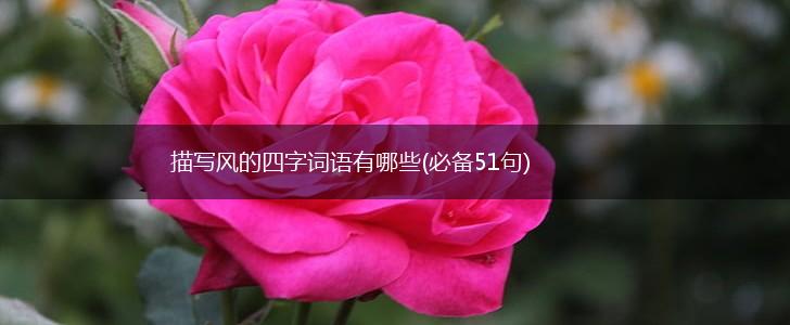 描写风的四字词语有哪些(必备51句),第1张
