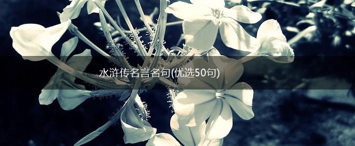 水浒传名言名句(优选50句),第1张
