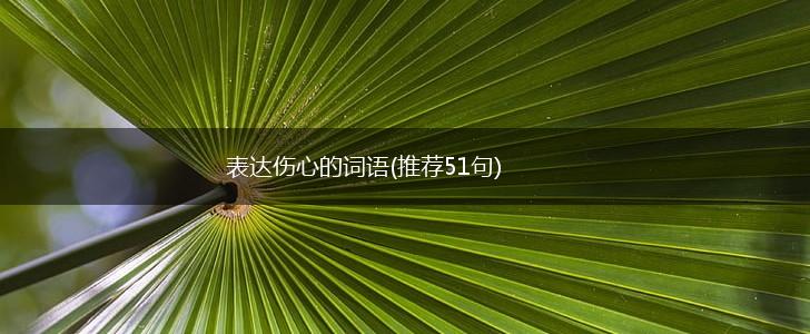 表达伤心的词语(推荐51句),第1张