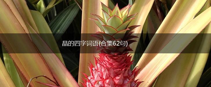 晶的四字词语(合集62句),第1张