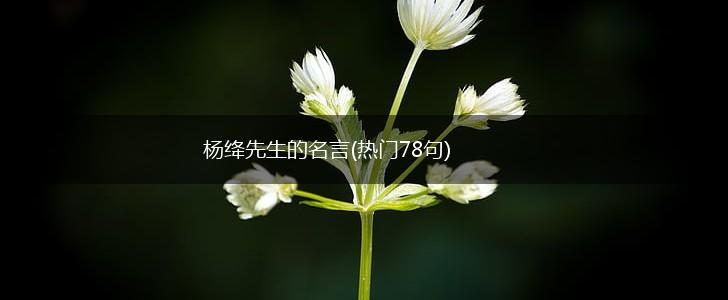 杨绛先生的名言(热门78句),第1张