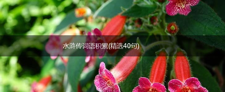 水浒传词语积累(精选40句),第1张