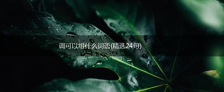 调可以组什么词语(精选24句),第1张