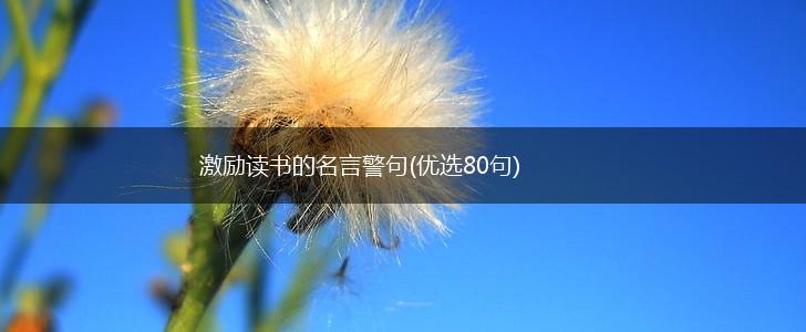 激励读书的名言警句(优选80句),第1张 激励读书的名言警句(优选80句),第1张