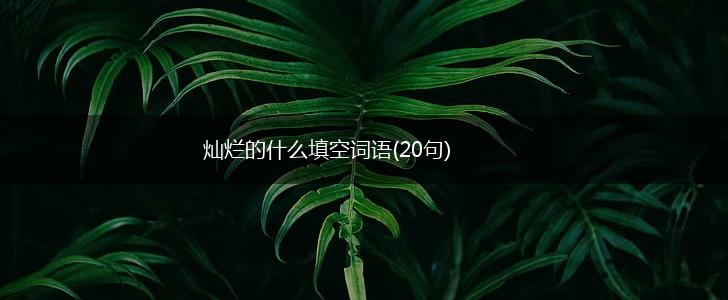 灿烂的什么填空词语(20句),第1张