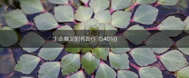 生命意义的名言(汇总40句),第1张