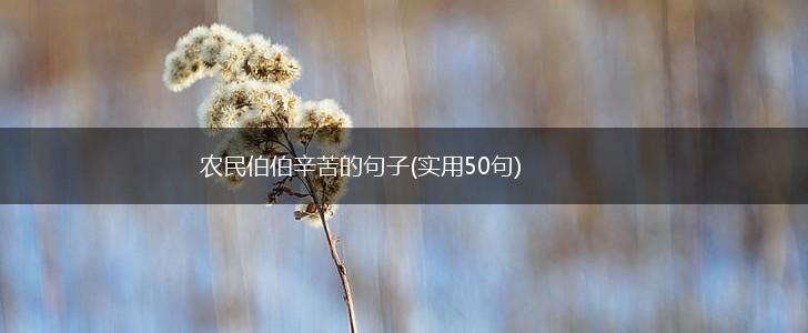 农民伯伯辛苦的句子(实用50句),第1张