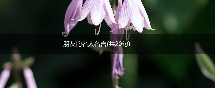 朋友的名人名言(共20句),第1张 朋友的名人名言(共20句),第1张