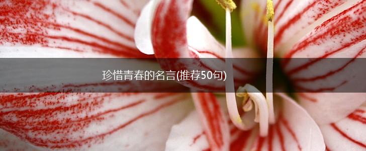 珍惜青春的名言(推荐50句),第1张