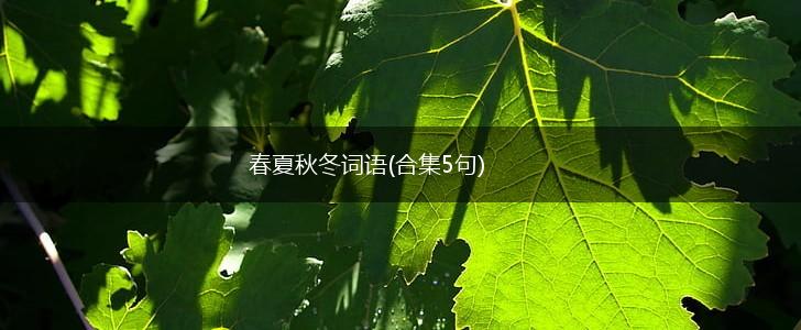 春夏秋冬词语(合集5句),第1张