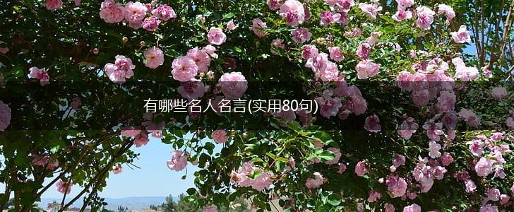 有哪些名人名言(实用80句),第1张