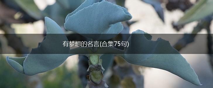 有梦想的名言(合集75句),第1张