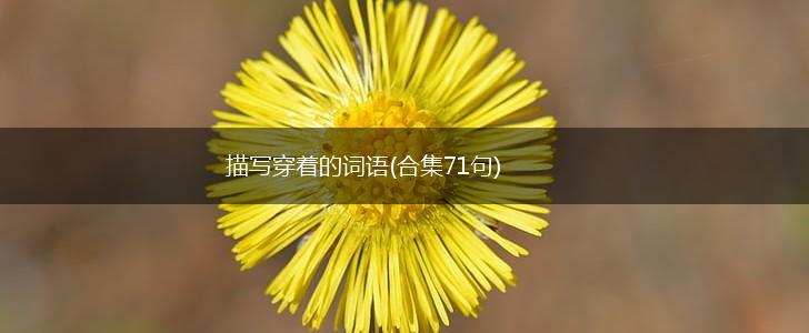 描写穿着的词语(合集71句),第1张