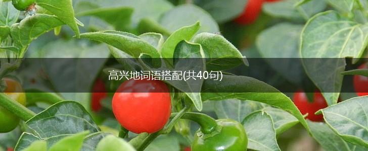 高兴地词语搭配(共40句),第1张