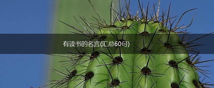 有读书的名言(汇总60句),第1张 有读书的名言(汇总60句),第1张