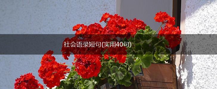 社会语录短句(实用40句),第1张